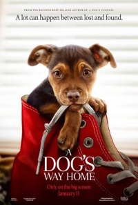 A Dog's Way Home (2019) WEB-DL 480p | 720p | 1080p