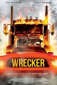 Driver from Hell (2017) WEB-DL 480p | 720p | 1080p