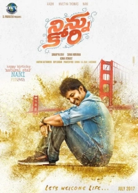 Ninnu Kori (2017) WEB-DL x264 AAC 480p | 720p | 1080p