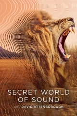 Secret World of Sound with David Attenborough (Season 1) (2024) WEB-DL x264 720p | 1080p