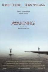 Awakenings (1991) WEB-DL 480p | 720p | 1080p