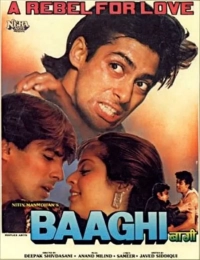 Baaghi: A Rebel for Love (1990) WEBRip HEVC AAC 720p