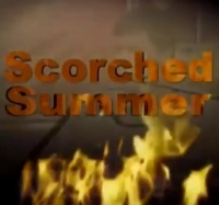 Scorched Summer: The Second Lebanon War Through Civilian Eyes (2008) BluRay 480p