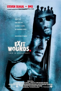 Exit Wounds (2001) WEB-DL 480p | 720p | 1080p